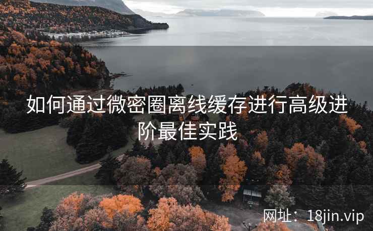 如何通过微密圈离线缓存进行高级进阶最佳实践