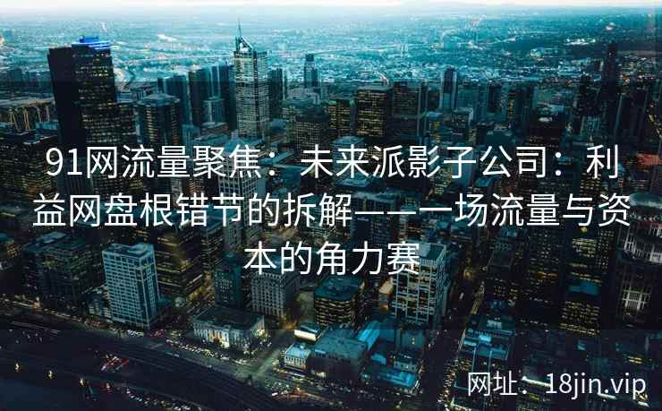 91网流量聚焦：未来派影子公司：利益网盘根错节的拆解——一场流量与资本的角力赛