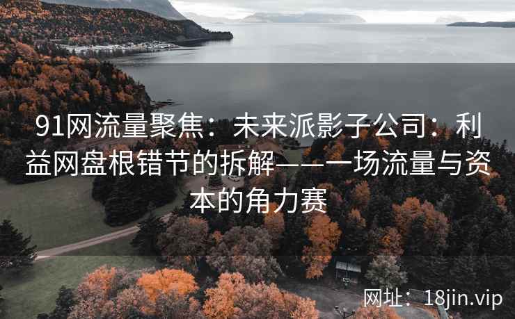 91网流量聚焦：未来派影子公司：利益网盘根错节的拆解——一场流量与资本的角力赛