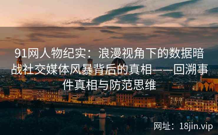 91网人物纪实：浪漫视角下的数据暗战社交媒体风暴背后的真相——回溯事件真相与防范思维