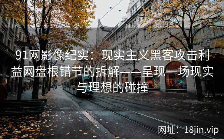 91网影像纪实：现实主义黑客攻击利益网盘根错节的拆解——呈现一场现实与理想的碰撞