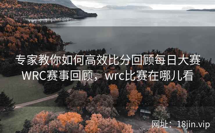 专家教你如何高效比分回顾每日大赛WRC赛事回顾，wrc比赛在哪儿看