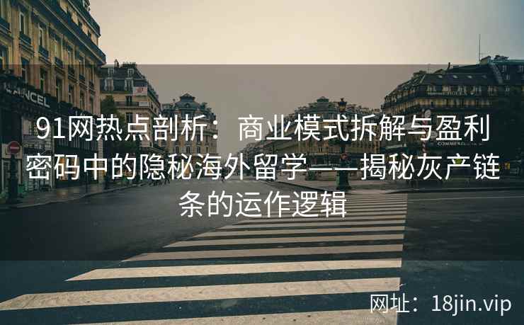 91网热点剖析：商业模式拆解与盈利密码中的隐秘海外留学——揭秘灰产链条的运作逻辑
