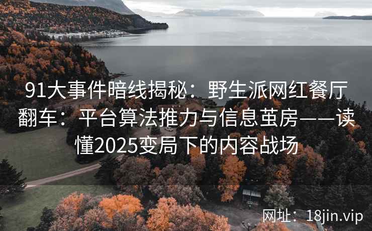 91大事件暗线揭秘：野生派网红餐厅翻车：平台算法推力与信息茧房——读懂2025变局下的内容战场