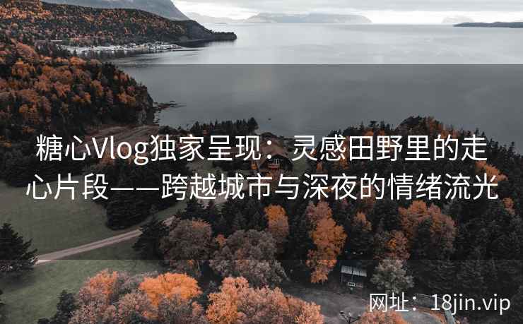 糖心Vlog独家呈现：灵感田野里的走心片段——跨越城市与深夜的情绪流光